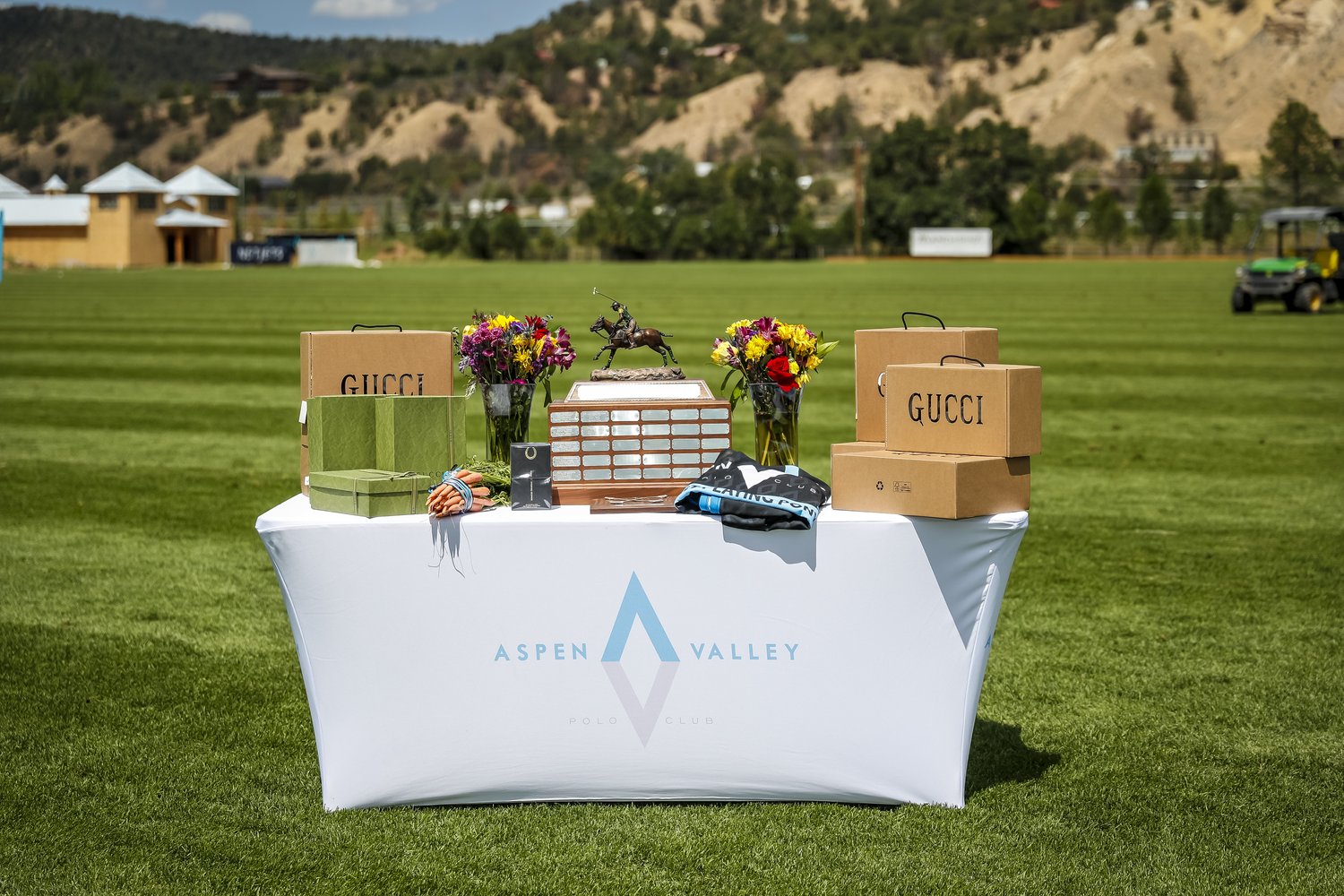 Aspen on sale polo club